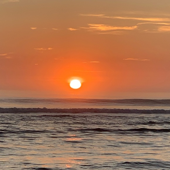 Meet your Posher, Cindy - Picture 1 of 1